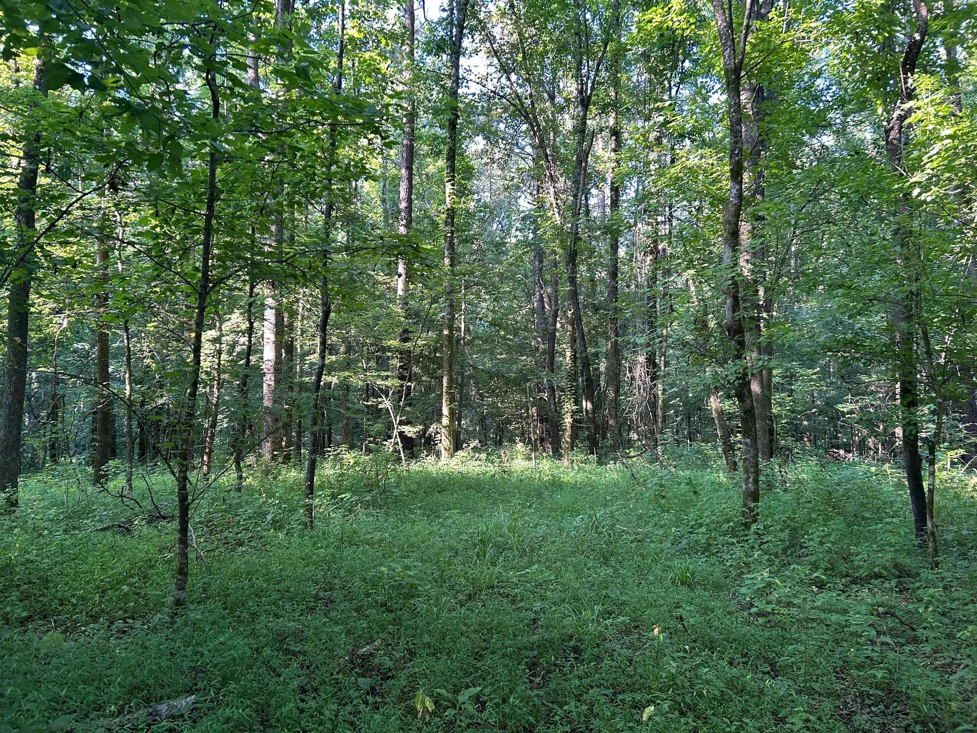 95598077-1