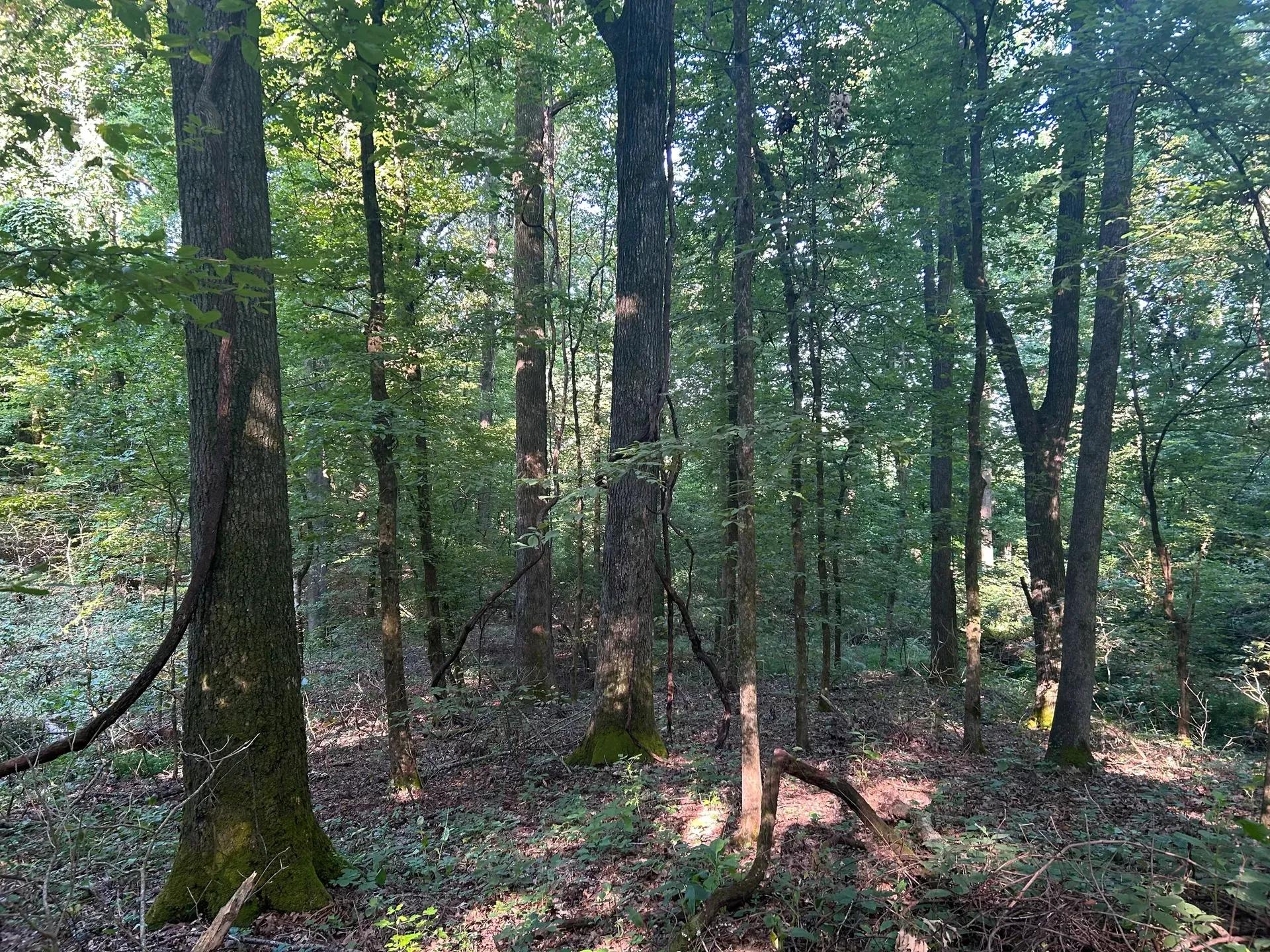95598077-2