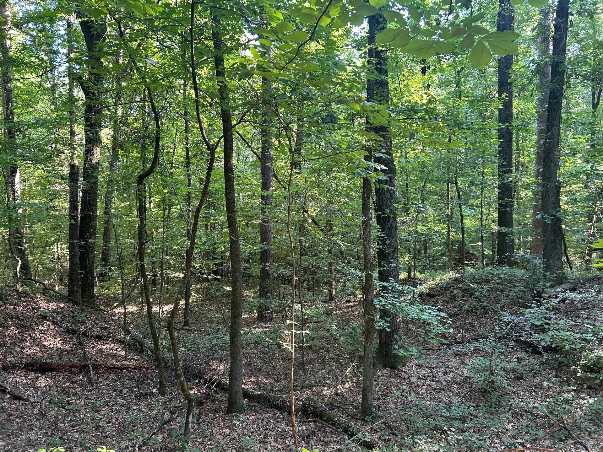 95598077-29