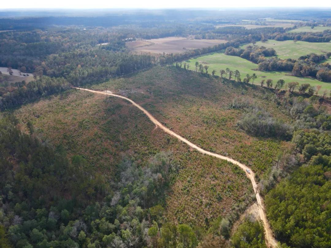 40.00 Acres at 0 Bradley Road