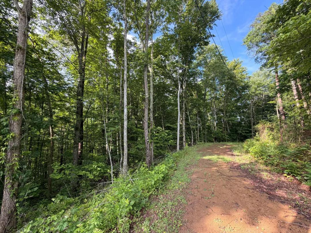 1.76 Acres Near Coal River in Tornado