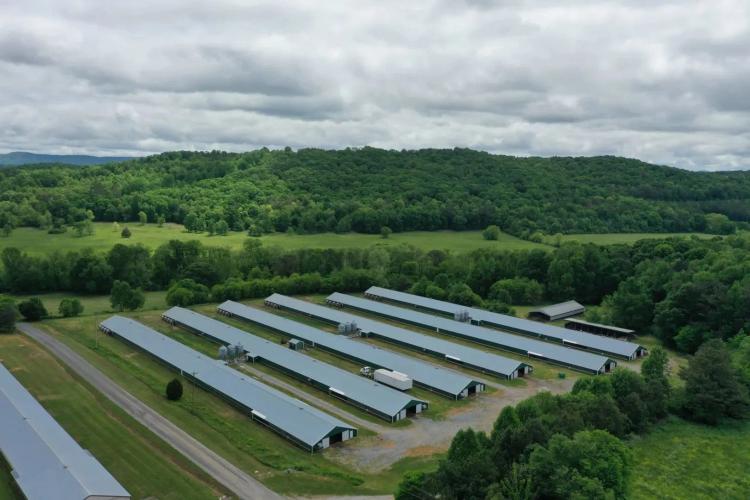 RNC Broiler Farm