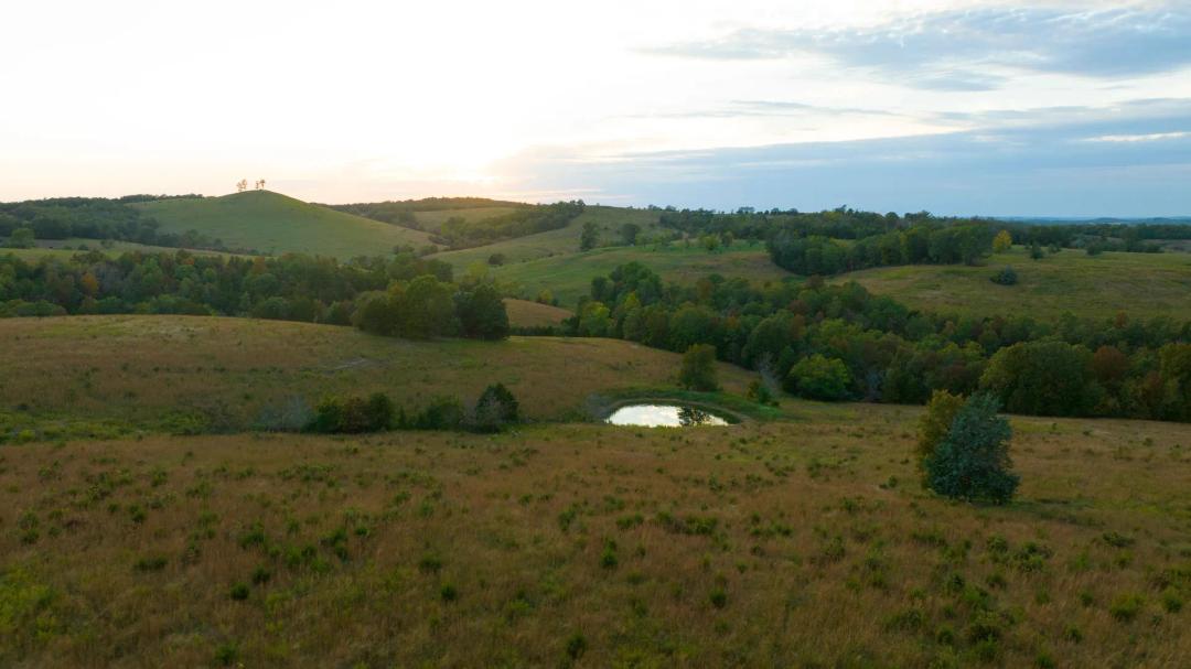 Pocket Hollow Ranch