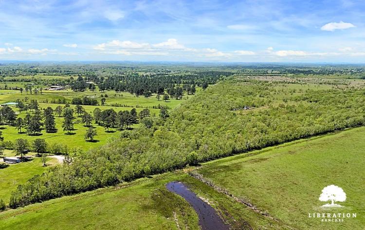 Liberty, TX Tract 2 | 12+ Acres | Only $15K Down