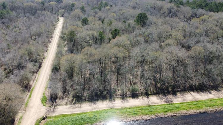 31.27 +/- acres Cornering Casanova & Coast Rd, Crowley LA