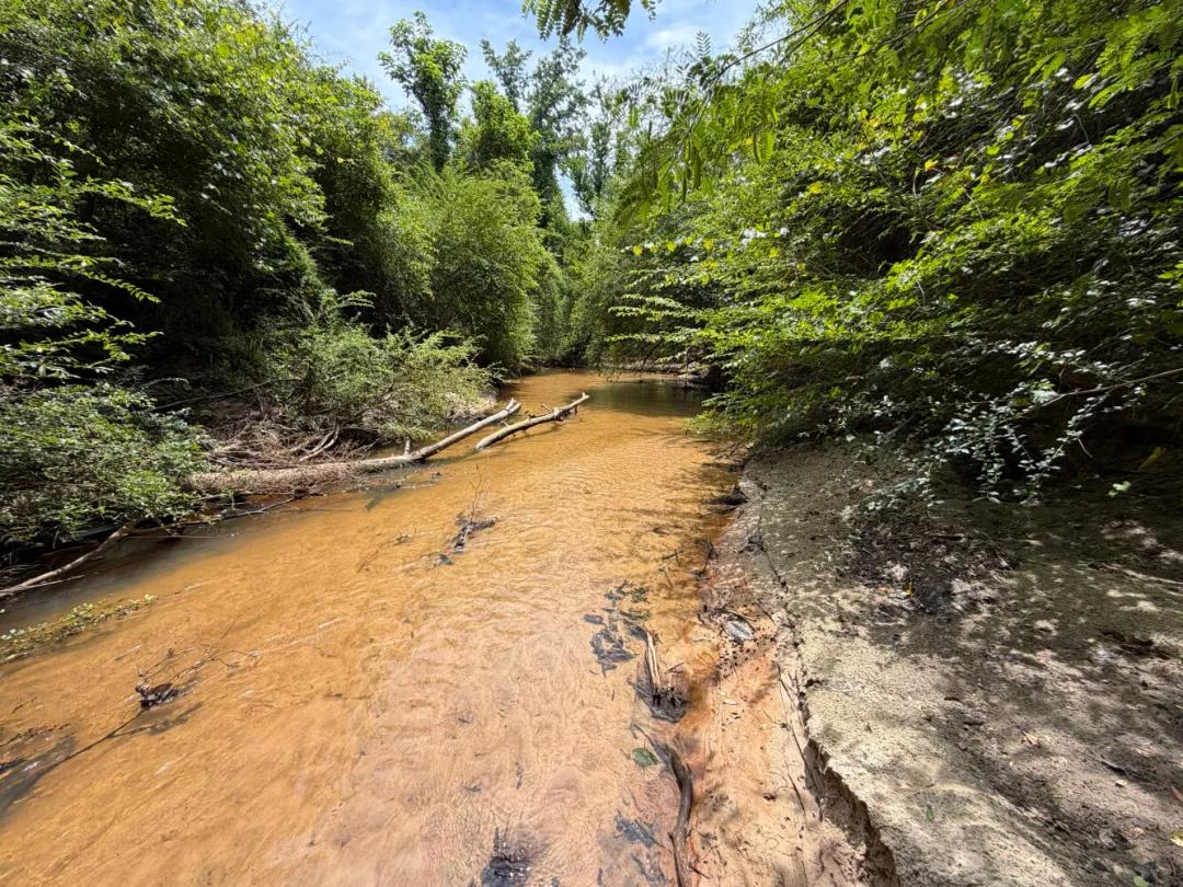 198.00 Acres at 0 Highway 124