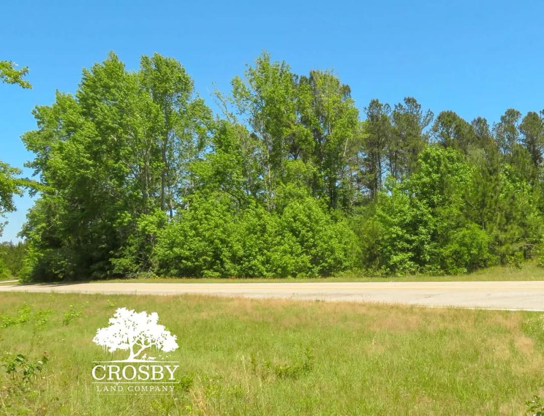 Habersham Church Road #1