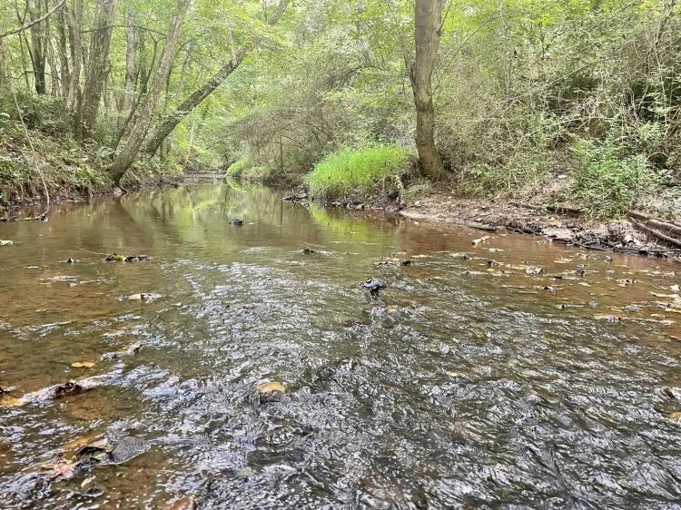 TRESTLE CREEK TRACT