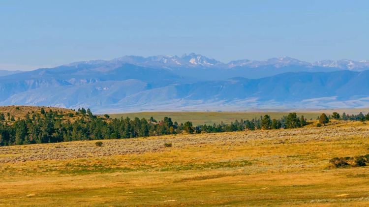 40 Acres Bordering 1600 Ac. Of BLM