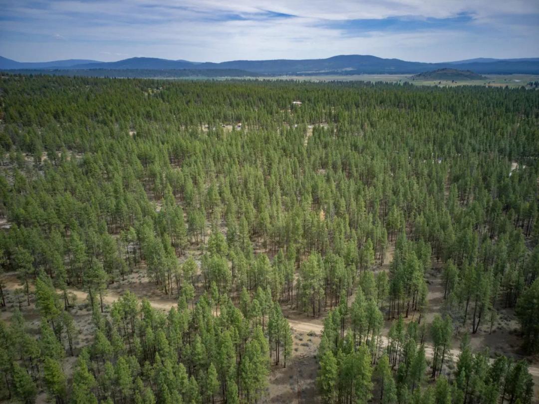 2.36 Acres, Klamath, OR, R269168