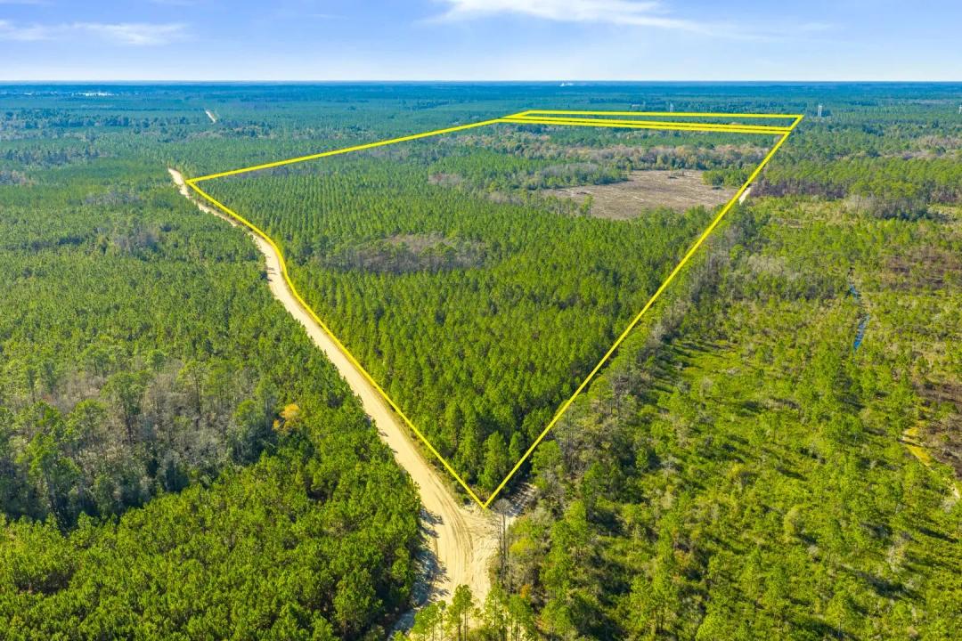 Clay County Timber and Recreation