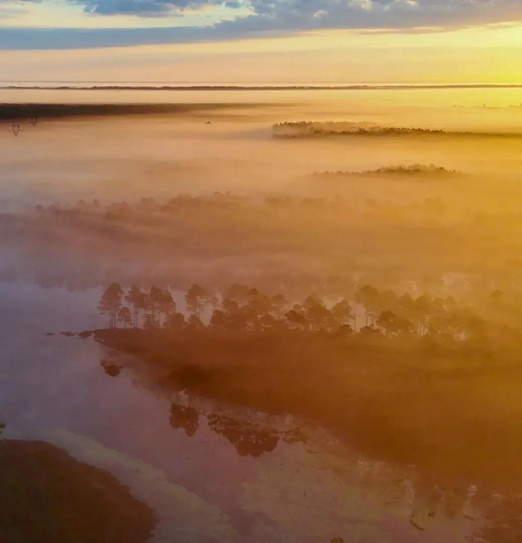2,511 Acres in Hancock County (Whispering Pines) in Perkinston, MS