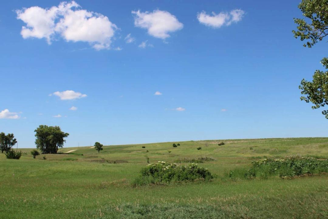 400± AC CROPLAND, GRASS &amp; CRP w ROYALTY INCOME- GRAHAM CO, KS