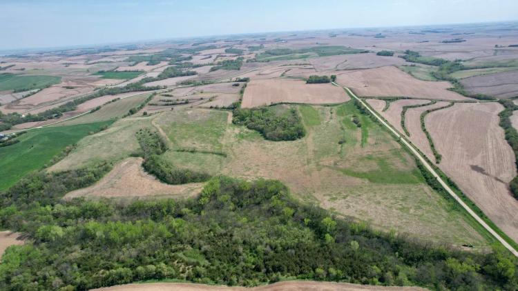 Burt County Hunt & CRP