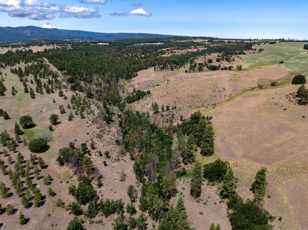 Friend Ranch 687