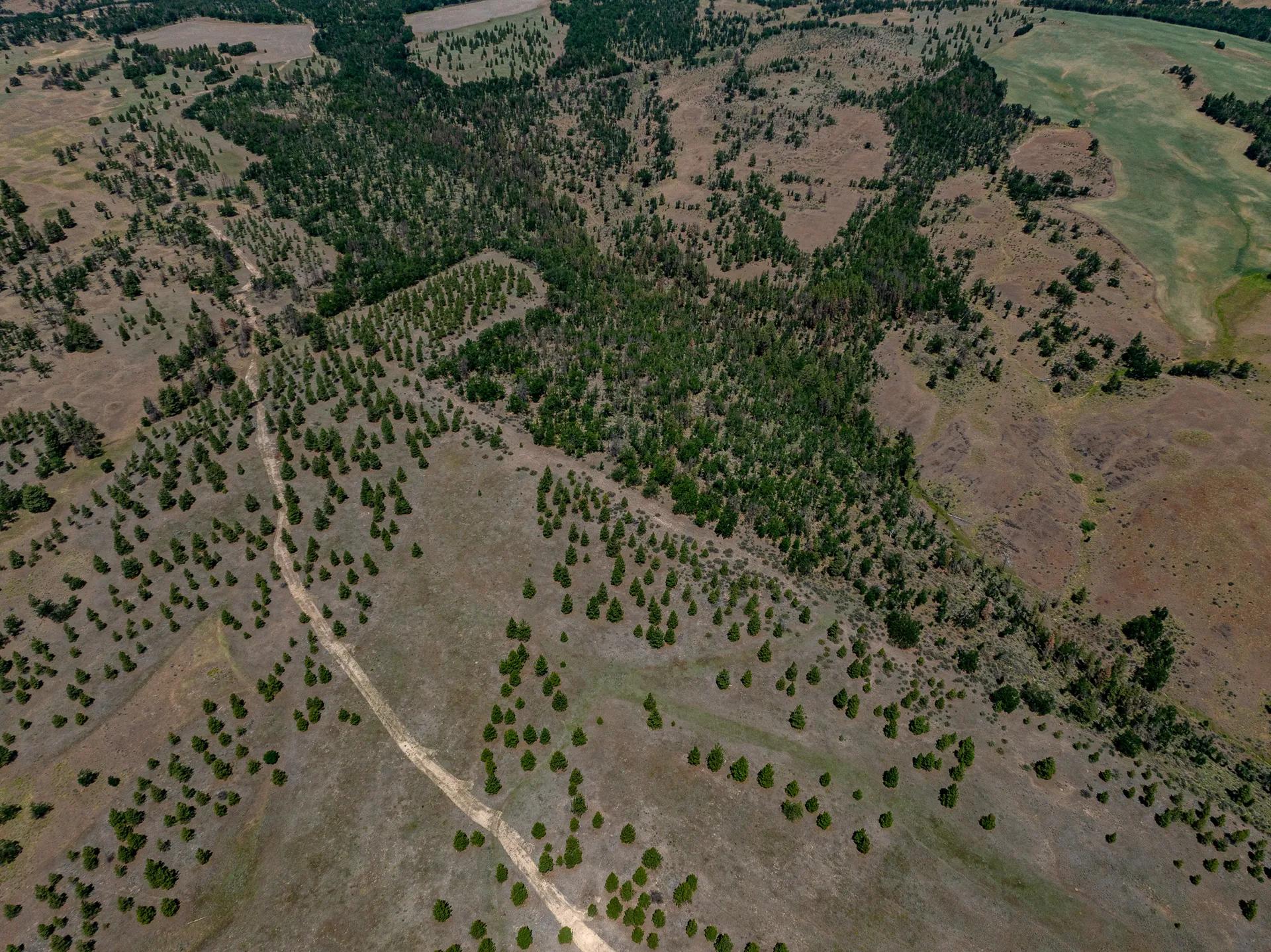95844028-12