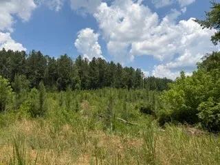 176.00 Acres at 4200 and 4150 Joe Bost Road
