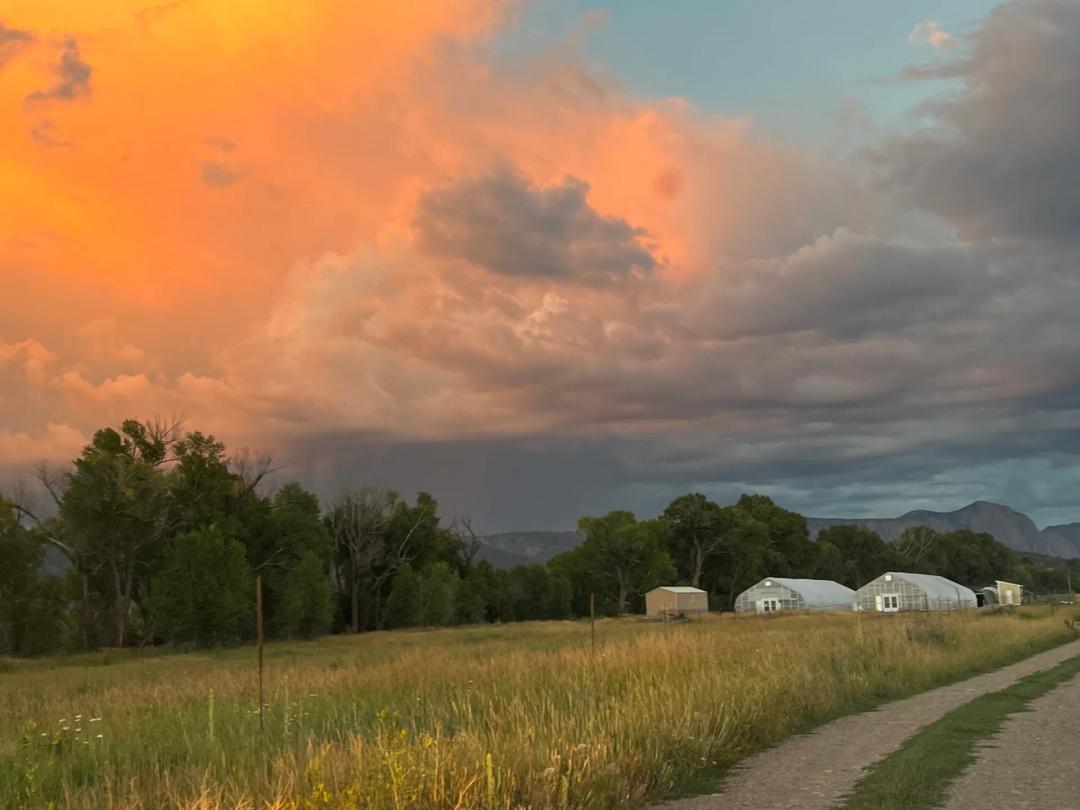 Brazos River View Farm