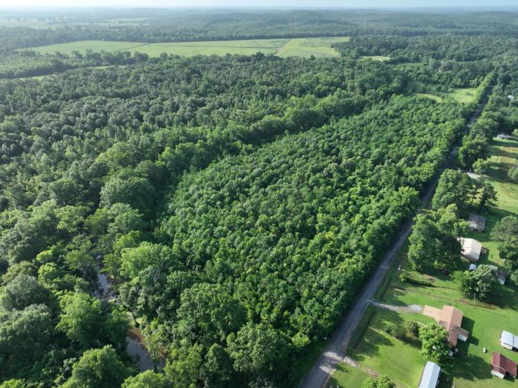 20.00 Acres at 0 Bayou Derbonne Road