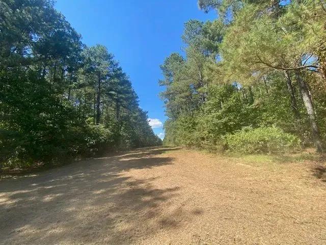 26 acres- Mature Timber- Salem School District