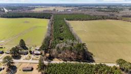 6-web-or-mls-DJI_20250228120940_0003_D[24]
