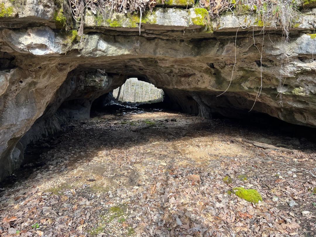 Starlight Cave 17 Acre Property