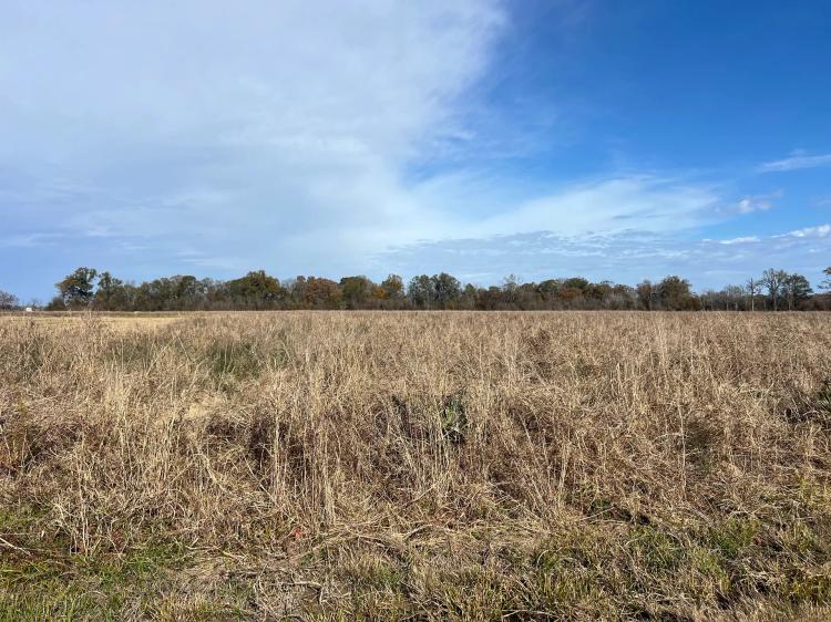 LA - Richland 28.8 acres +/-