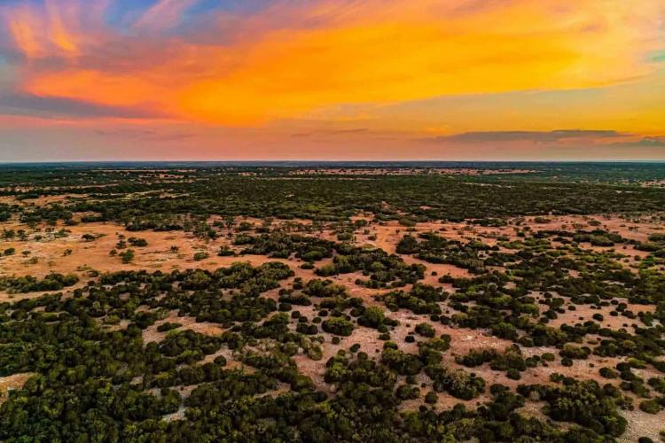 Real County | Highveld Ranch | W of Kerrville