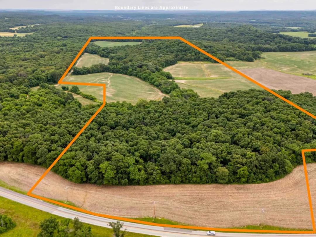 106± Acres of Prime Hunting, Income Potential & Future Homesite – Pike County