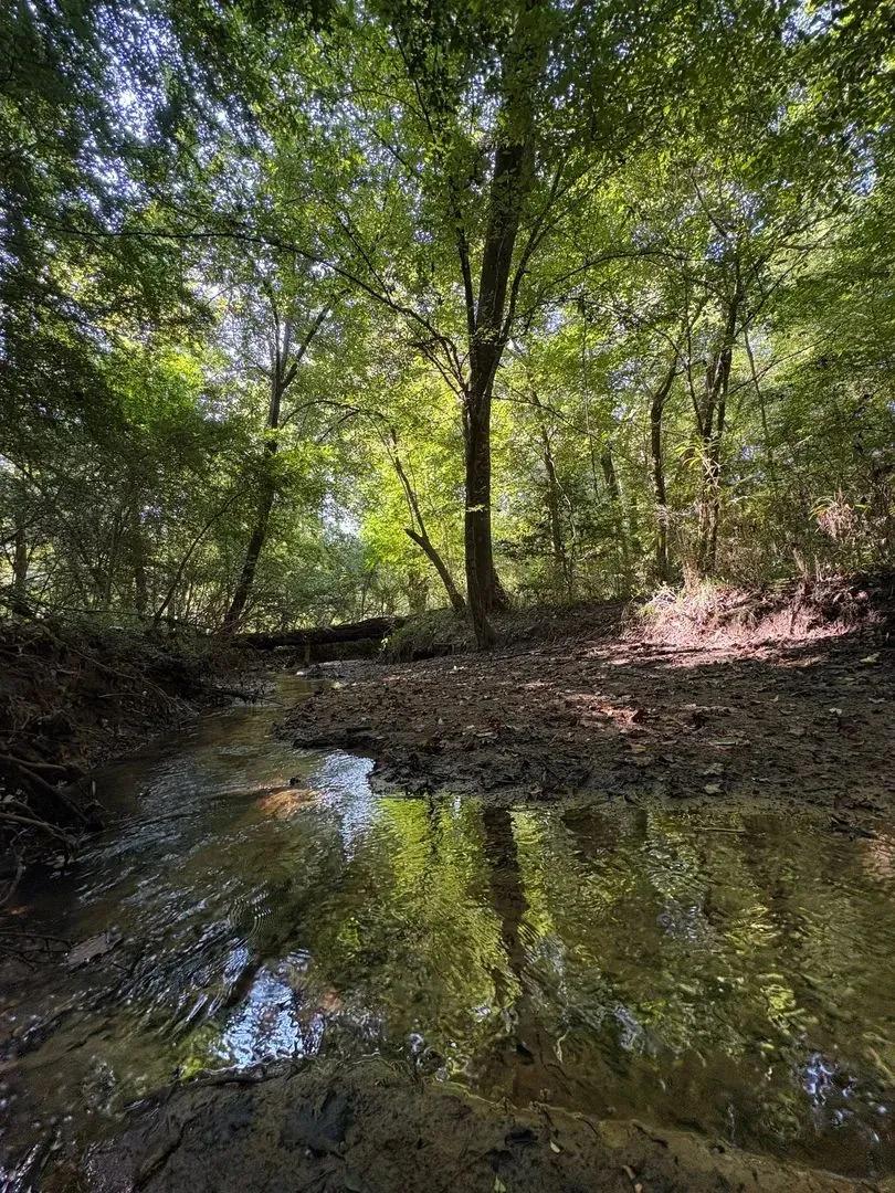 Can Creek 360
