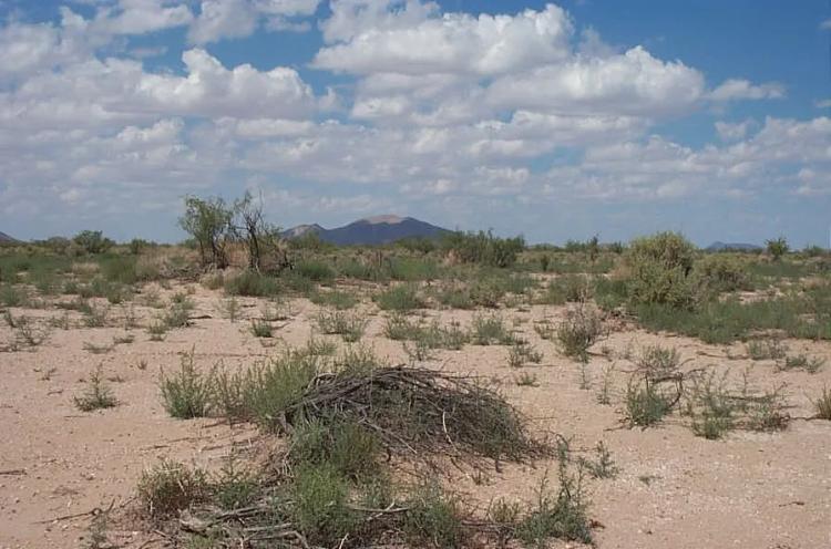 5 acres undeveloped land SW of Deming