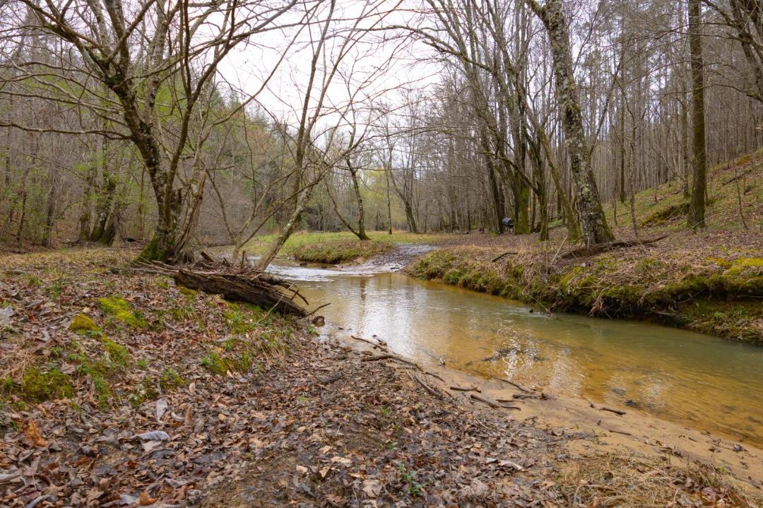 225+/- County Road 405, Haleyville, AL 35565