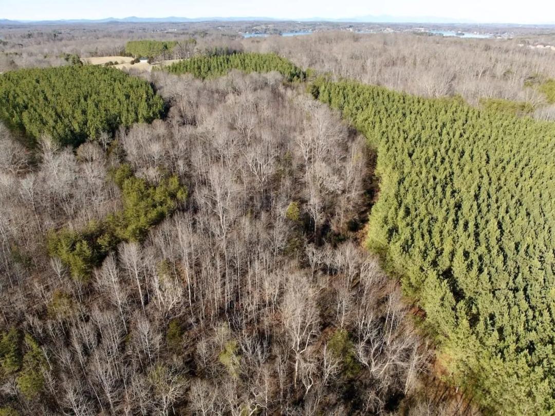 37.73 acres of recreational and residential land in Franklin County, VA