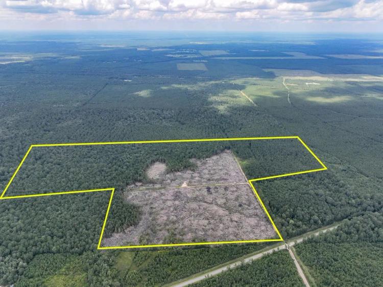 128 Acres | Old Honey Island Road