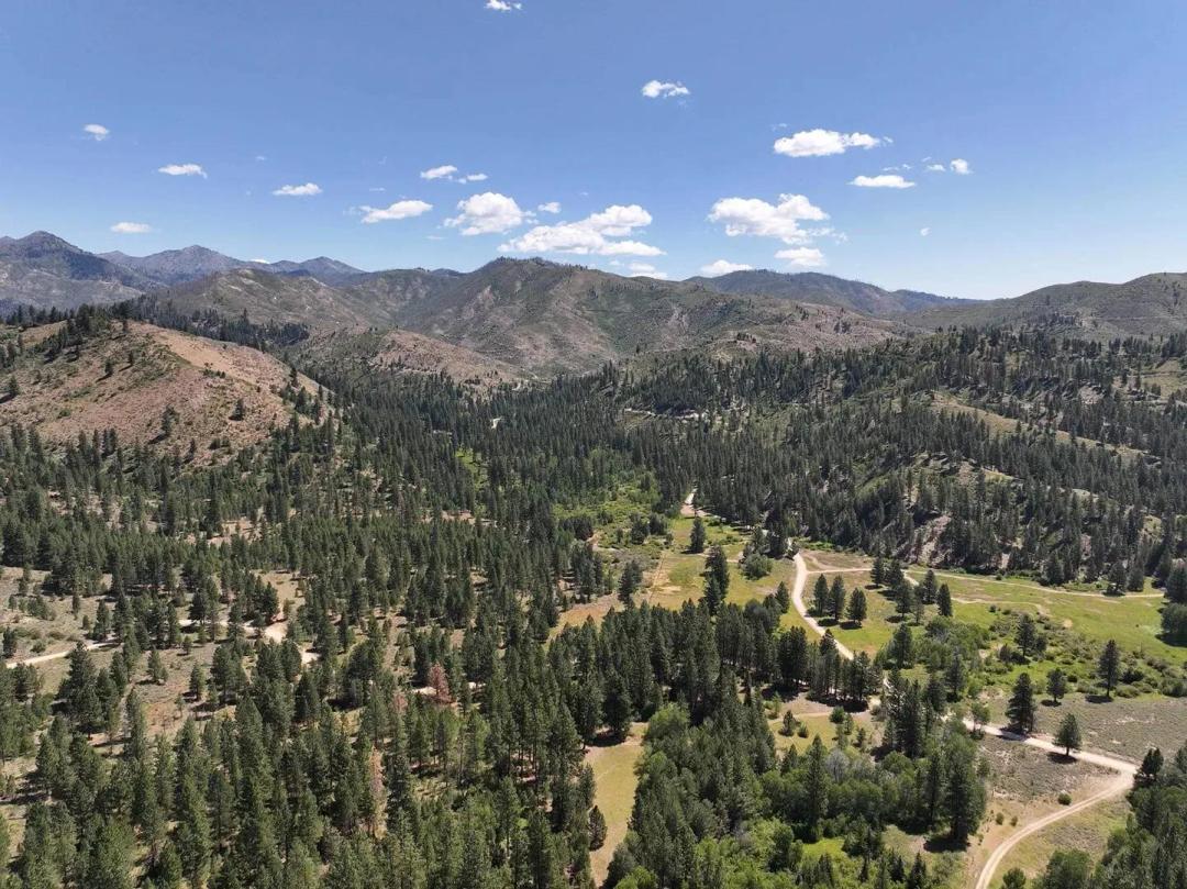 Mountain Land and Lots