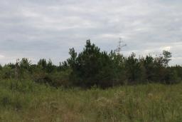 96200638-5