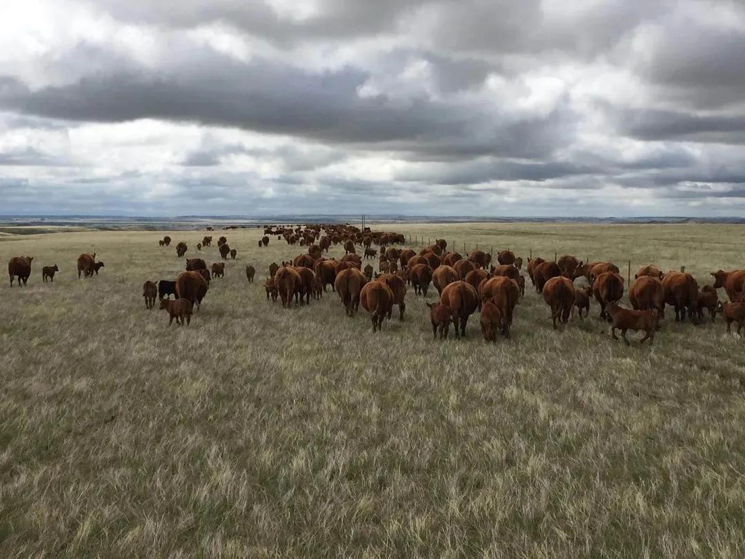 Cheyenne River Ranch