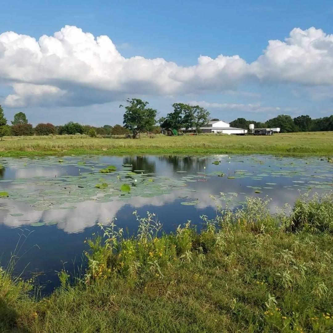 Whitton VZ Ranch