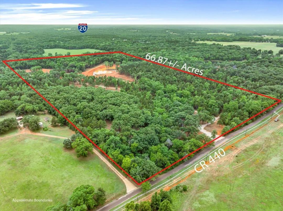 65.58 Acres of Land for Sale in Lindale, Texas