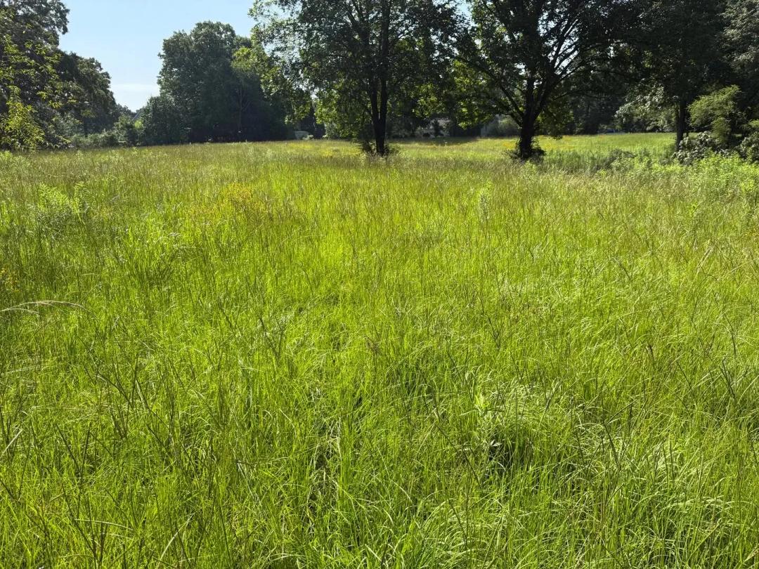 37 acres in Pleasant Grove