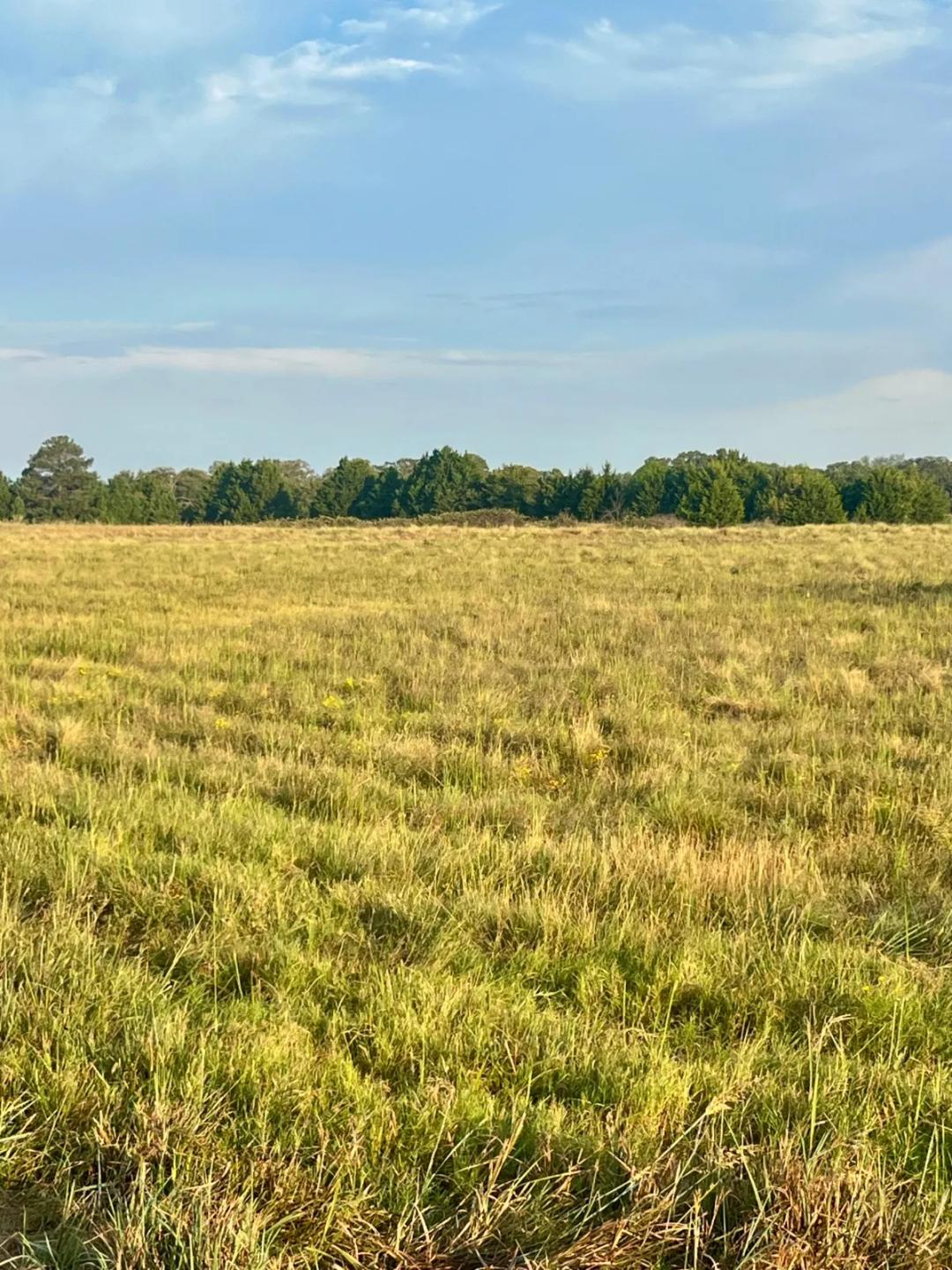 15.5 Scenic Acres Near Lake Murray, Ardmore, OK Ready to Develop