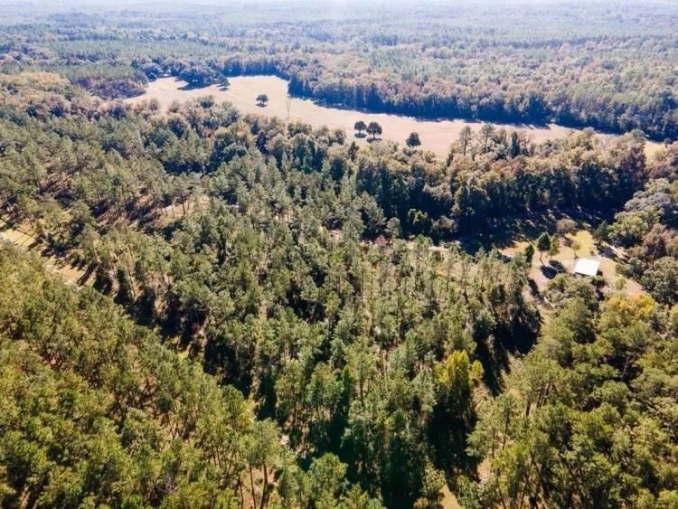 Riverfront Paradise on 24 Acres in Sopchoppy, Florida