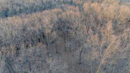 96296113-6