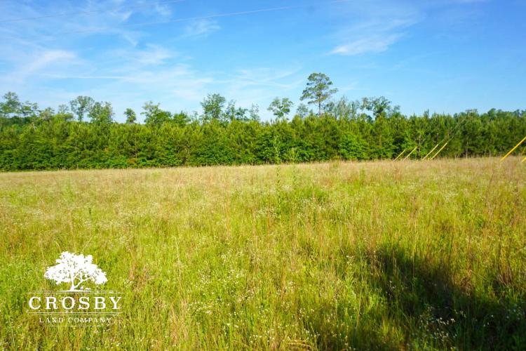162.74 Acres at 0 GA Highway 297