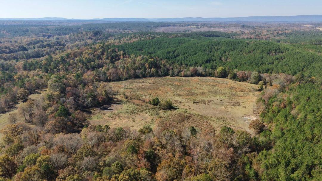 103 +/- acres on Mountain Fork River!