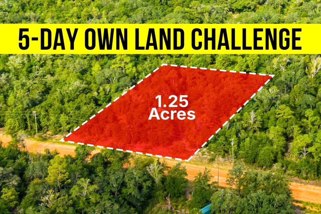 Own a 1.25-acre Peaceful Private Area Lot in Fl, No Hoa - Owner Financing