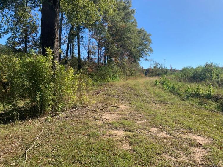 43.00 Acres at 0 Durwood St