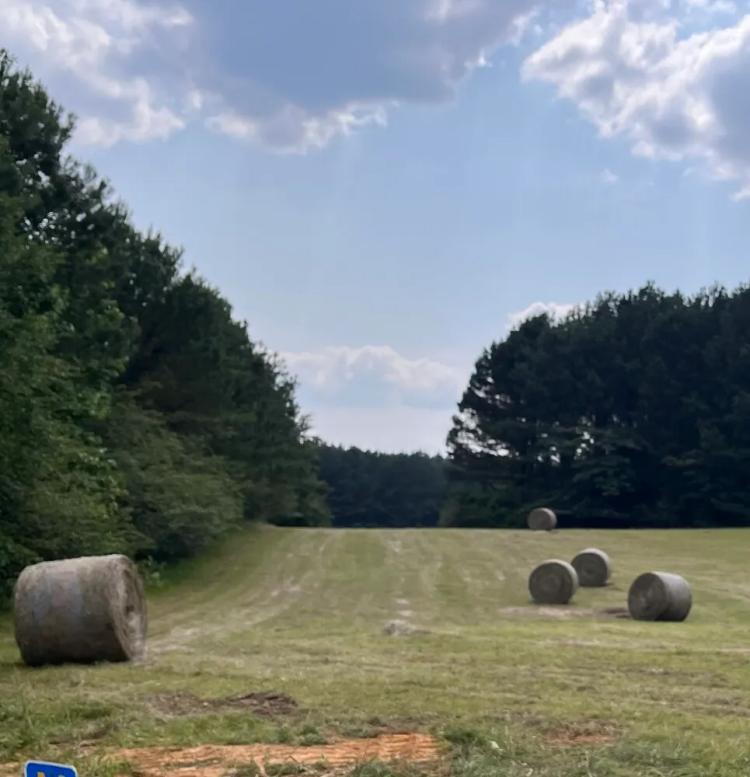 4.50 Acres at 0 Co Rd 97