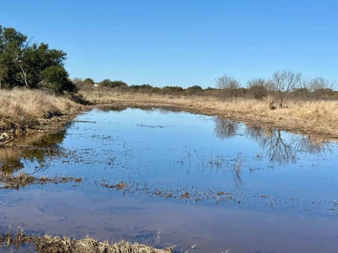 136 +/- Ac....Hunting, Food Plot area, Creek, Tank, 3/2 Mobile Home,