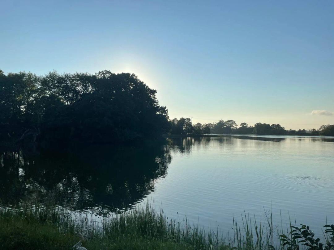 11.30 Acres at 0 22-10-1 Haven Beach